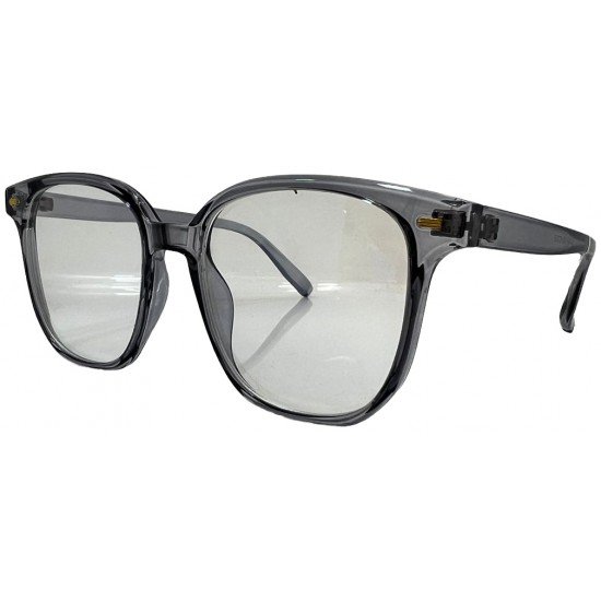 Nayansukh Computer Glasses