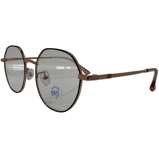 Nayansukh Metalic Hexagonal Frame Computer Glasses
