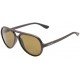 Brown Aviator Men Sunglasses