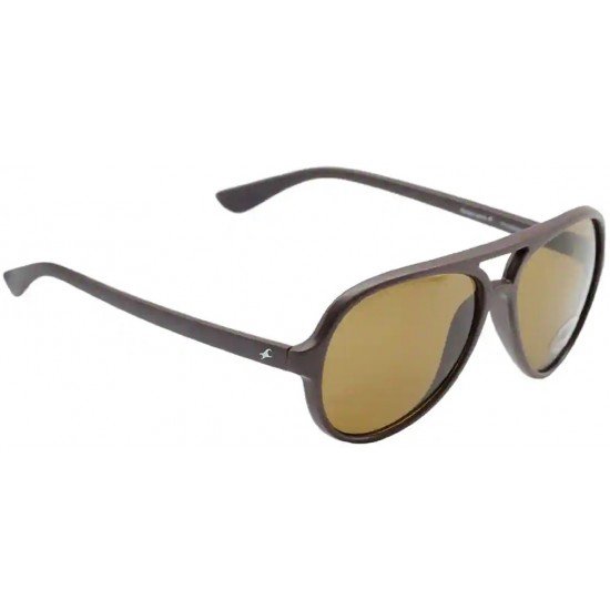 Brown Aviator Men Sunglasses